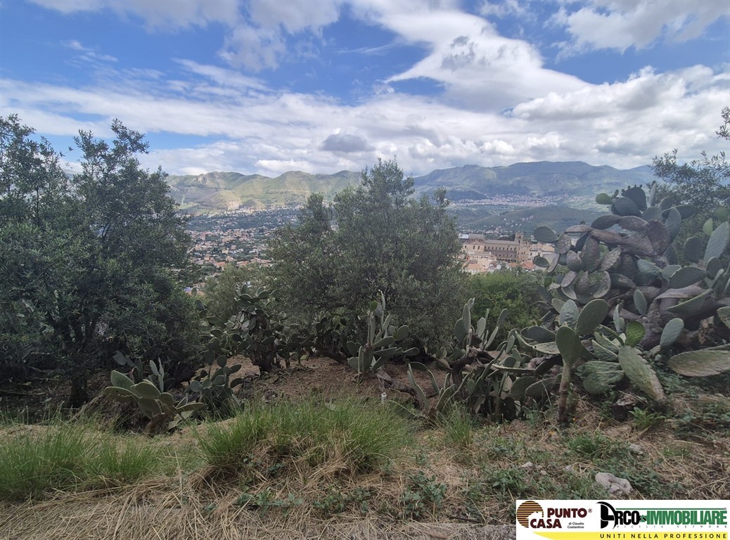 Monreale, San Martino delle Scale, proponiamo in vendita un terreno edificabile esteso circa mq 2.610